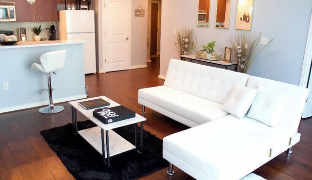 The Next Level Condo Experience