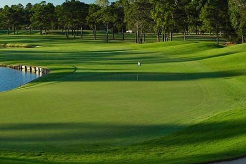 The Woodlands
