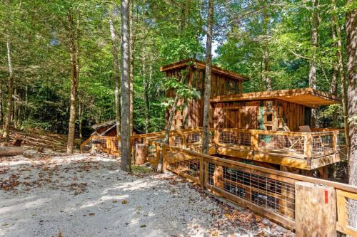 Treehouse - Amazonia - Red River Gorge KY in Pine Ridge