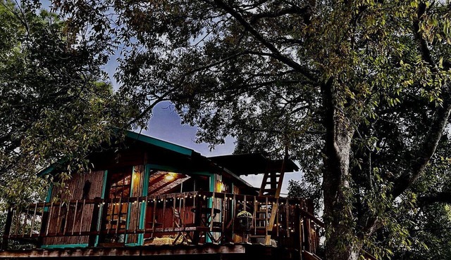 Unique Bamboo Tree House for an Unforgettable Couples Getaway by Lake Conroe, Texas