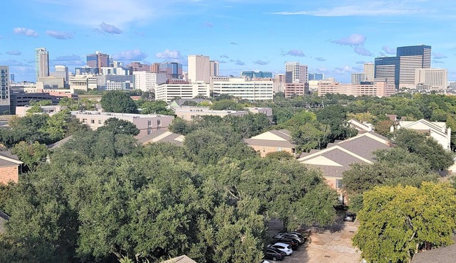 Walk to NRG Stadium-Luxury 2BR World Cup Stay-FIFA