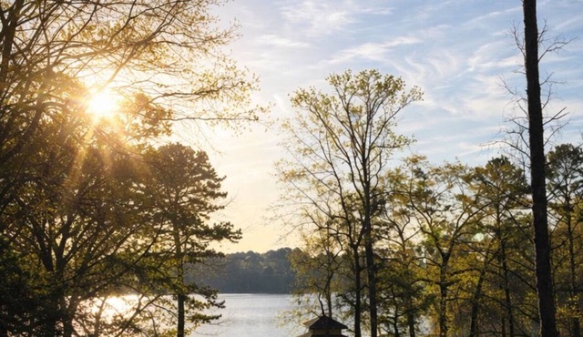 Water front Lakehouse with dock on beautiful Lake Hawkins