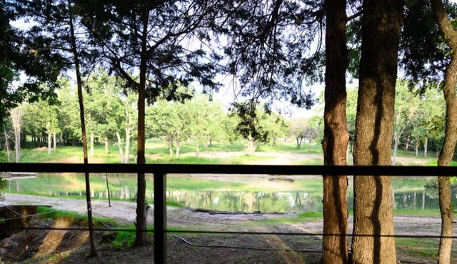 Wooded Cabin w/Pond View near LBJ Grasslands - Book 1 or All 4 Cabins