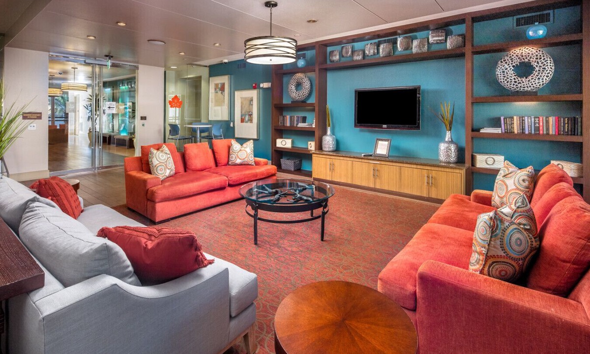 Texas Medical Center Apartment | Beautiful and Spacious Apartment by Texas Medical Center