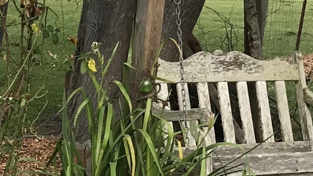 Photo of Outdoor in Milton