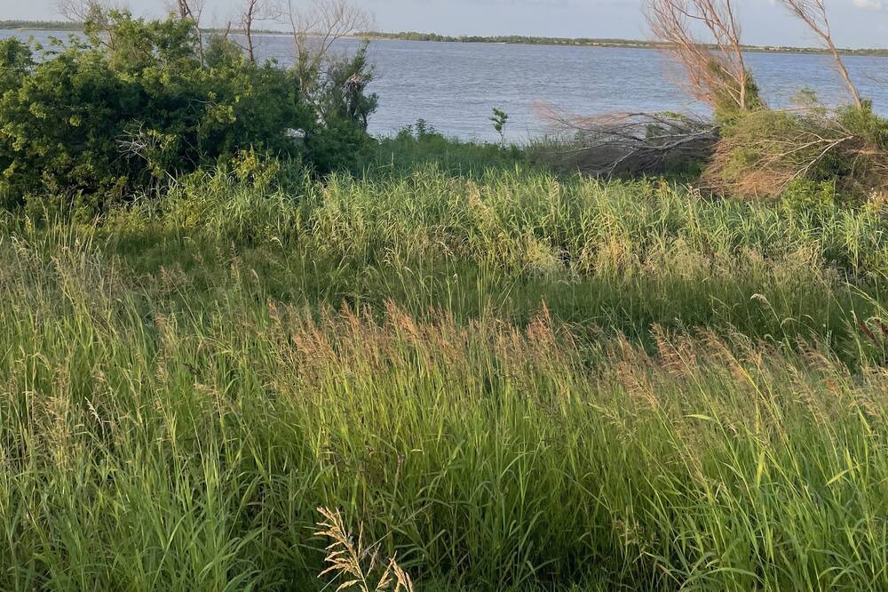 Photo of Others in Boothville-Venice