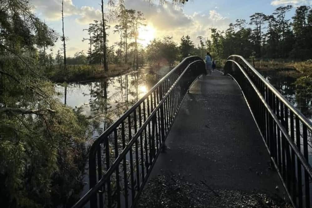 Photo of Others in Lake Charles