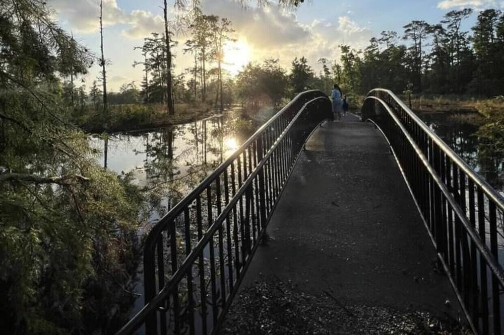 Photo of Others in Lake Charles