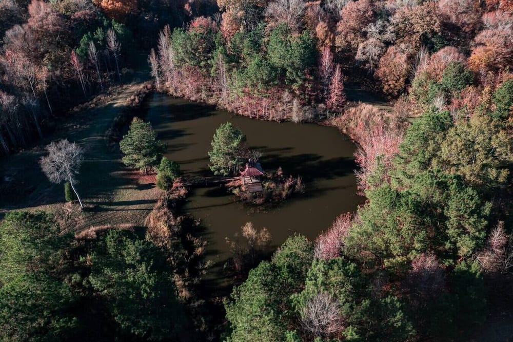 Photo of Others in St. Francisville