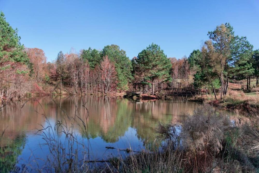 Photo of Others in St. Francisville
