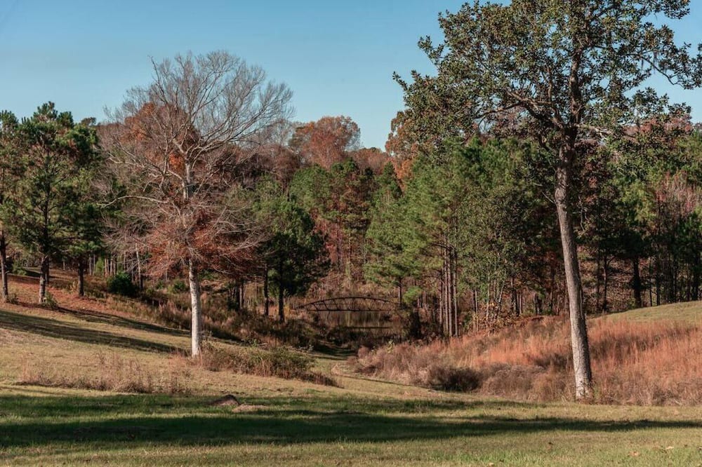 Photo of Others in St. Francisville