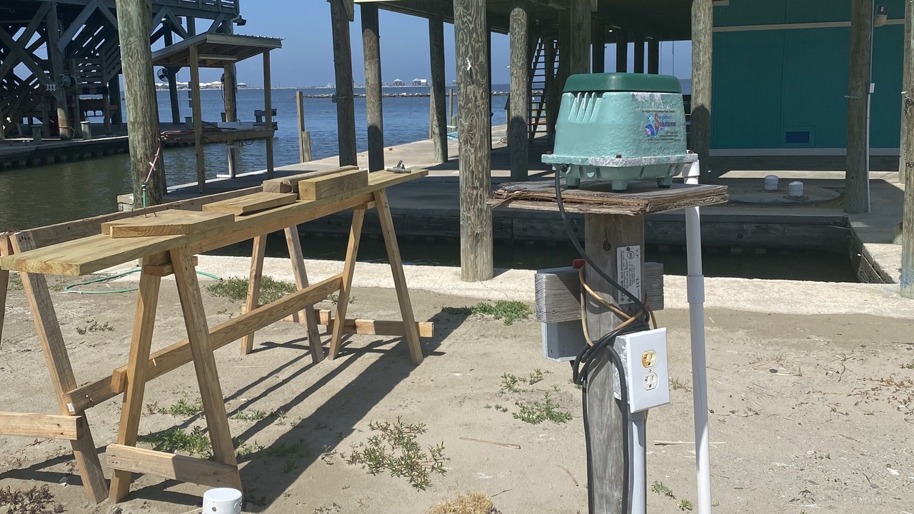 Photo of Outdoor in Grand Isle