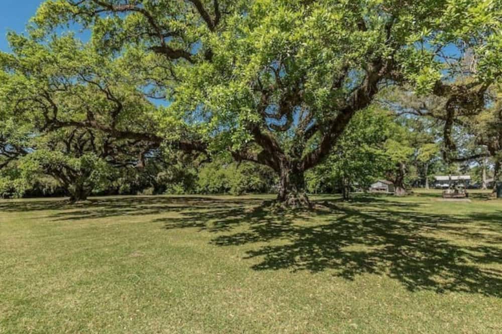 Photo of Outdoor in Franklin