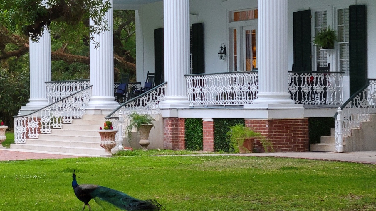 Photo of Outdoor in Franklin
