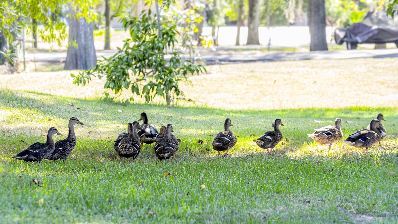 Photo of Others in Burnside