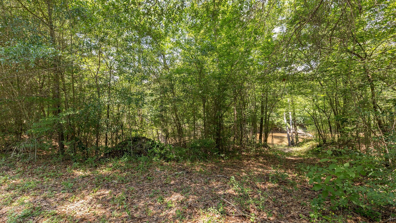 Photo of Outdoor in Fred
