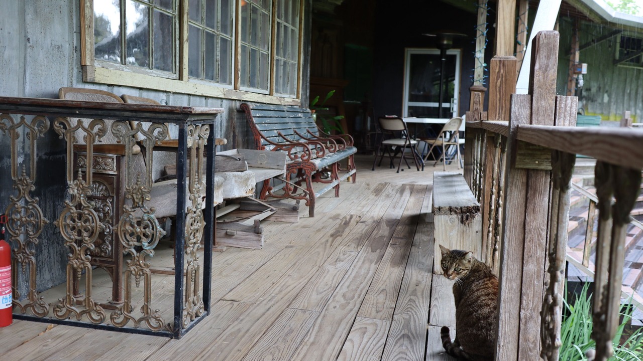 Photo of Outdoor in Opelousas