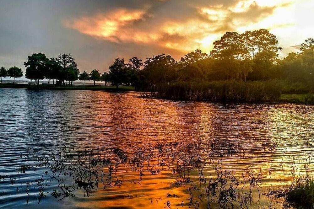 Photo of Others in Mandeville