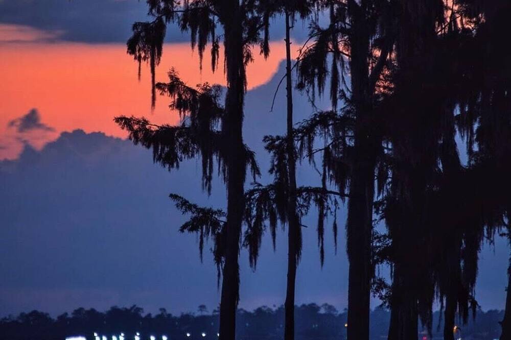 Photo of Others in Mandeville