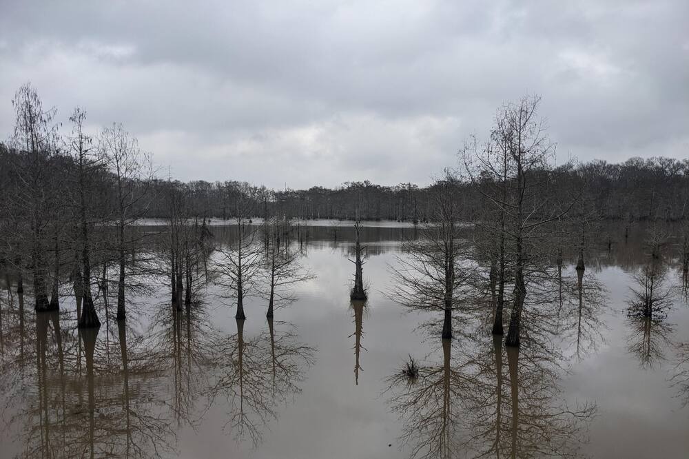 Photo of Others in Saint Landry