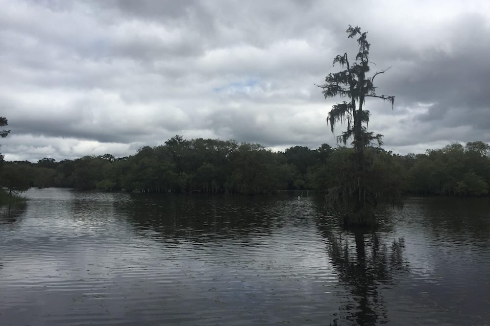 Photo of Others in Saint Landry