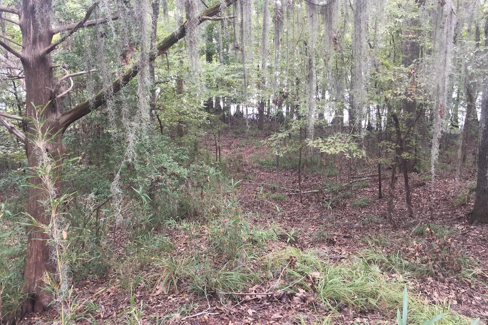Photo of Others in Saint Landry