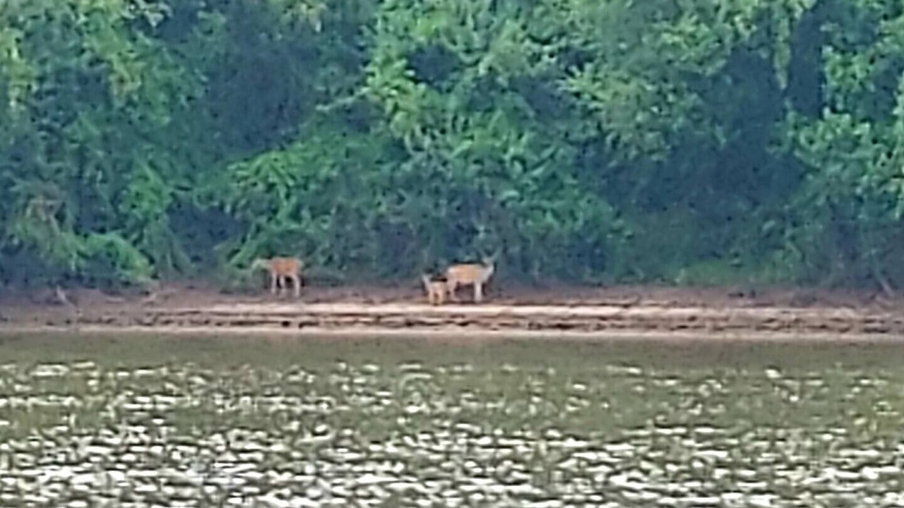 Photo of Others in West Monroe