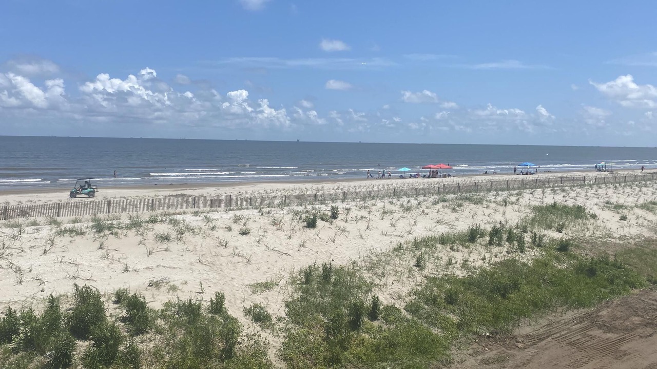 Photo of Others in Grand Isle
