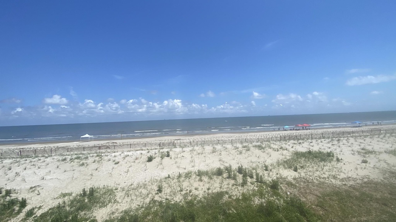 Photo of Others in Grand Isle