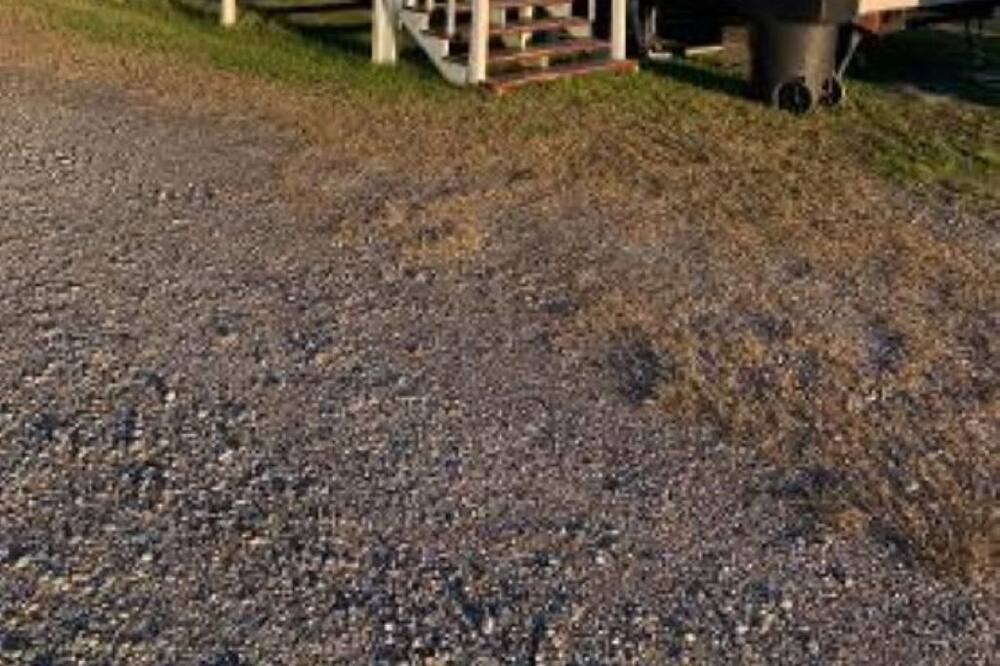 Photo of Outdoor in Boothville-Venice