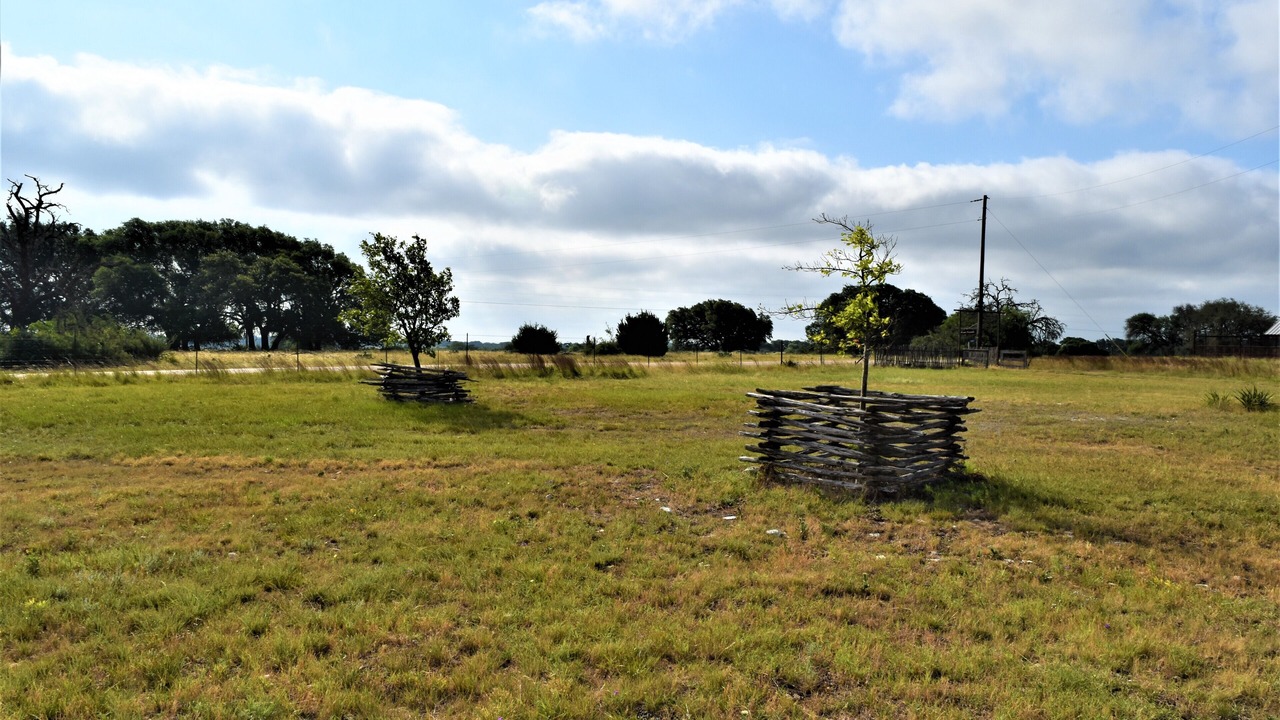 Photo of Others in Harper