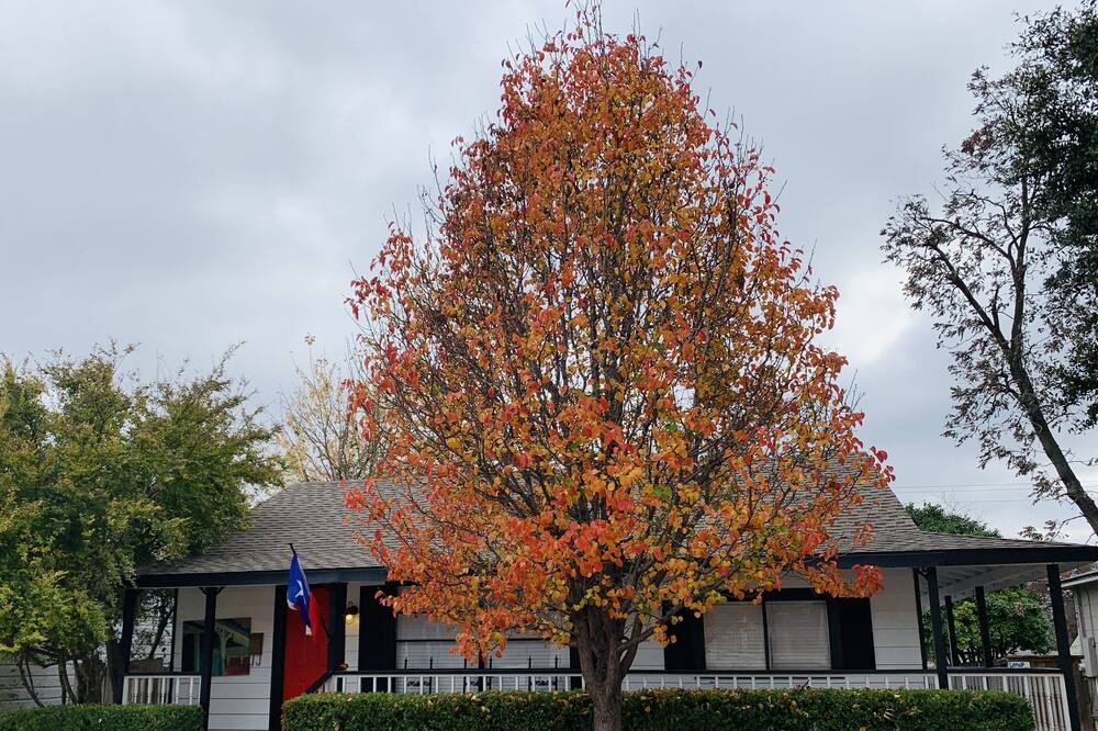 Photo of Outdoor in Arlington Heights