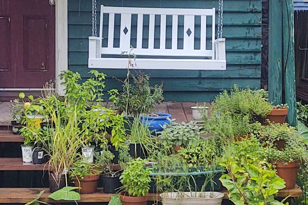 Photo of Outdoor in Seventh Ward