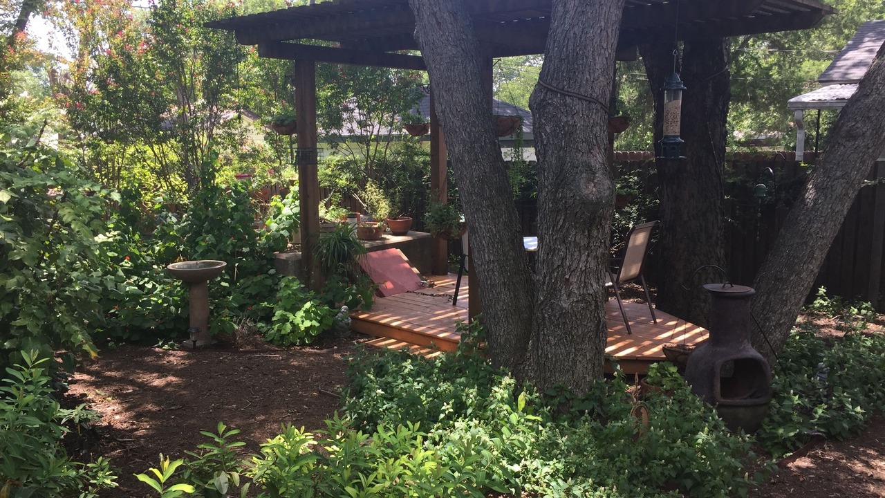 Photo of Outdoor in Garland