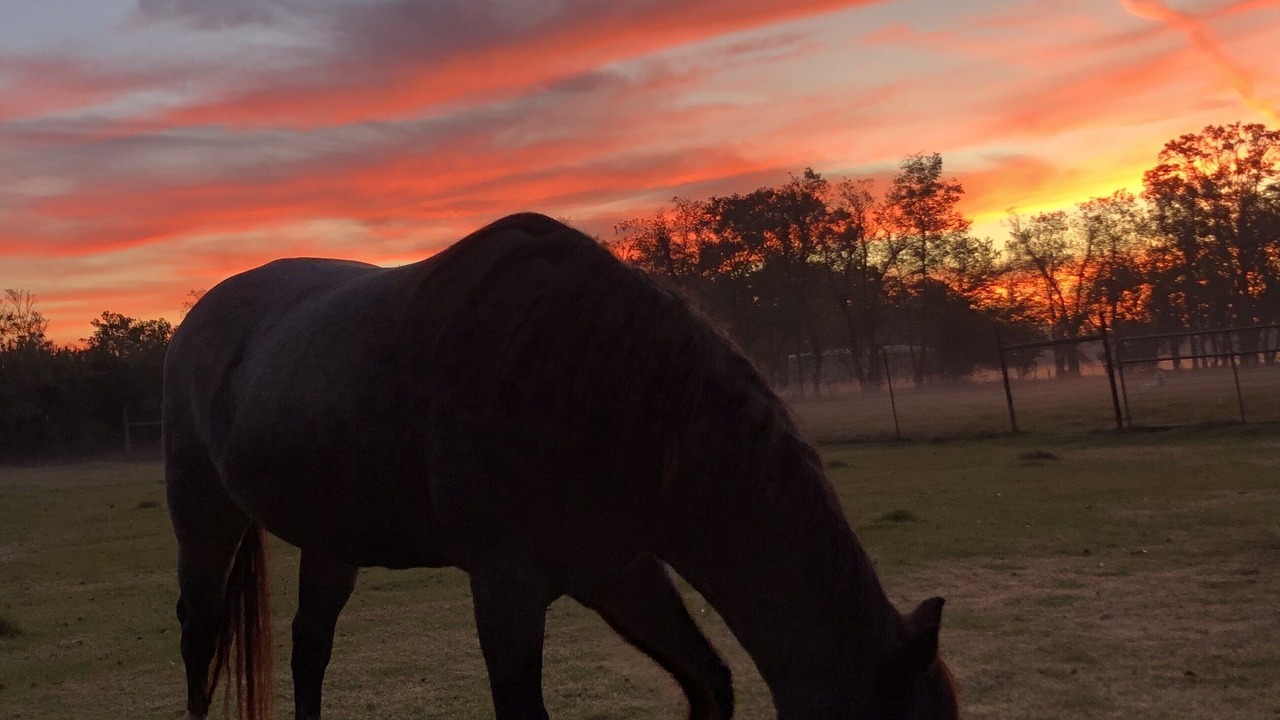Photo of Outdoor in Breaux Bridge