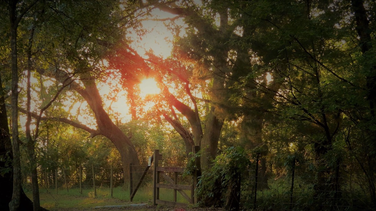 Photo of Outdoor in Breaux Bridge