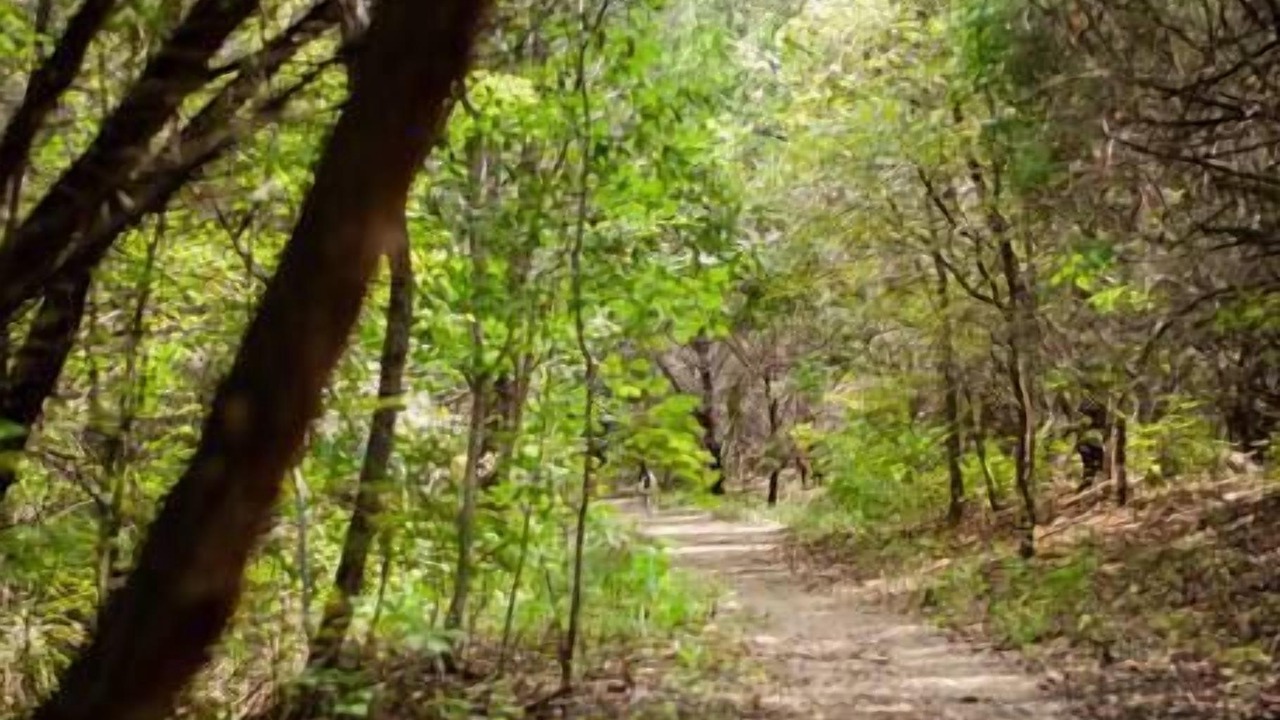 Photo of Outdoor in Apache Shores