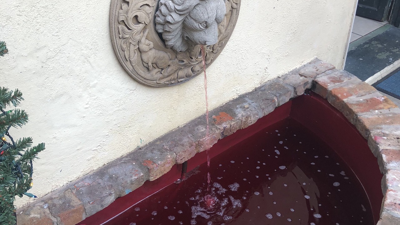 Photo of Outdoor in French Quarter