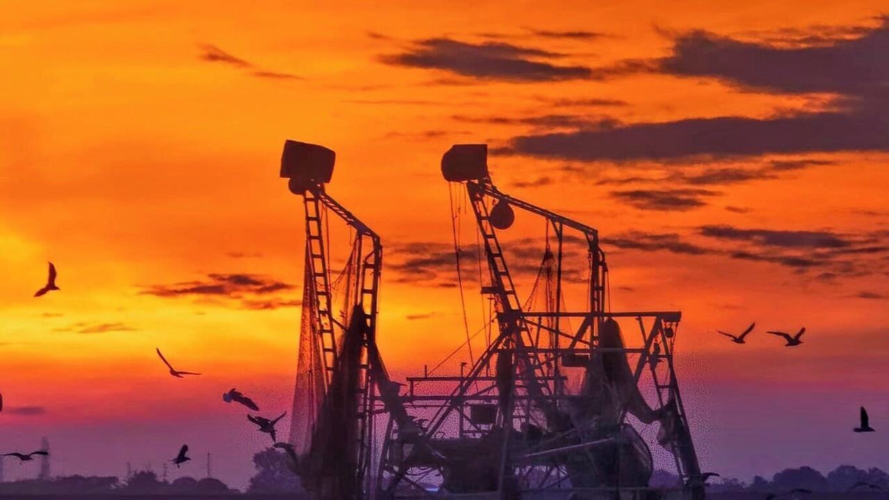 Photo of Others in Grand Isle
