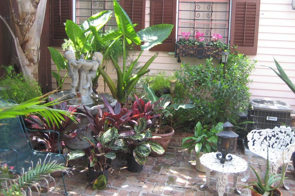 Photo of Outdoor in Carrollton