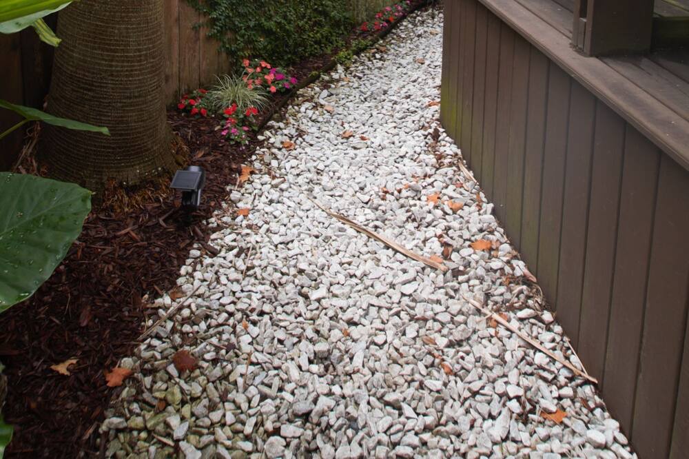 Photo of Others in Carrollton