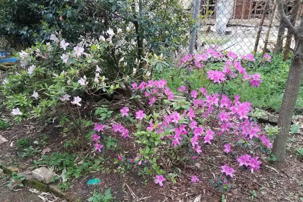 Photo of Outdoor in Carrollton