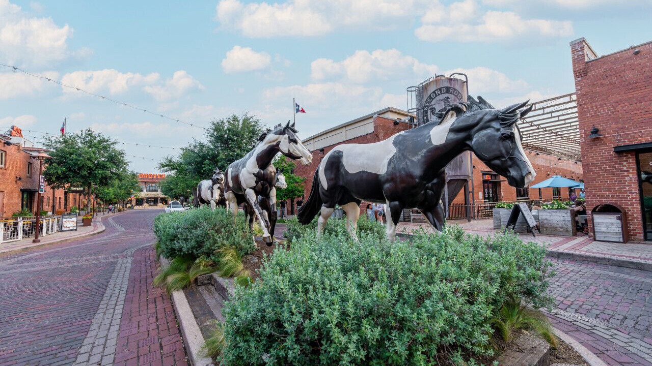 Photo of Others in Fort Worth