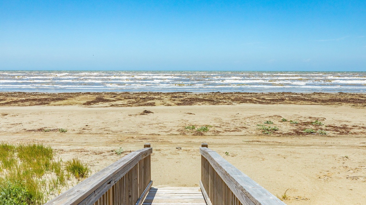 Photo of Others in Galveston
