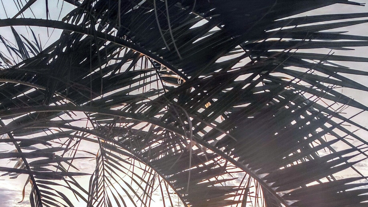 Photo of Others in Grand Isle