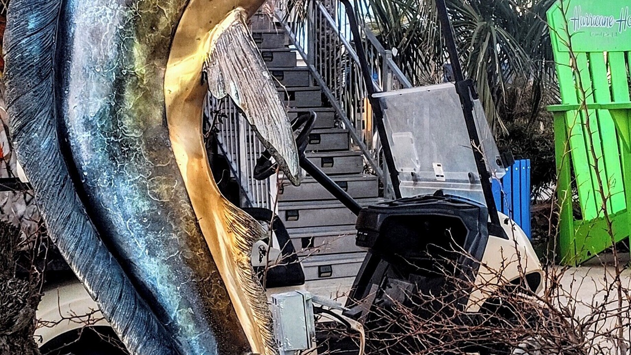 Photo of Others in Grand Isle