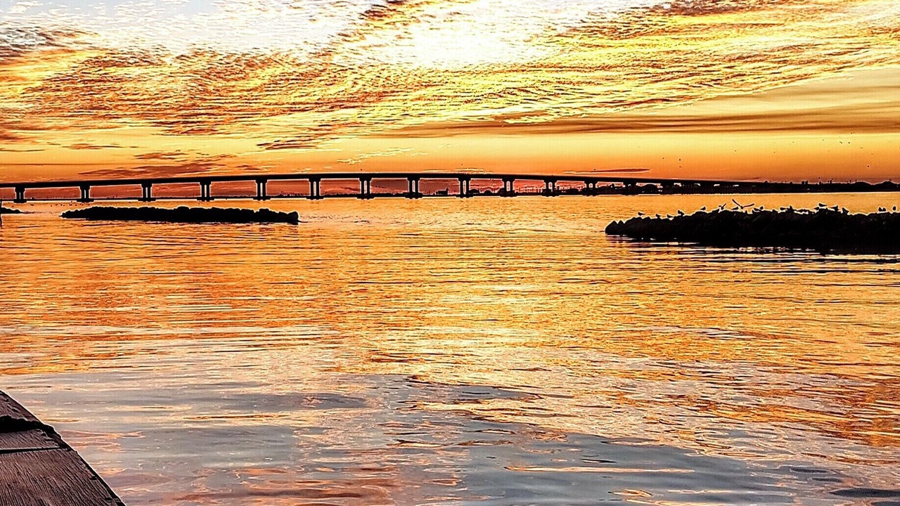 Photo of Others in Grand Isle