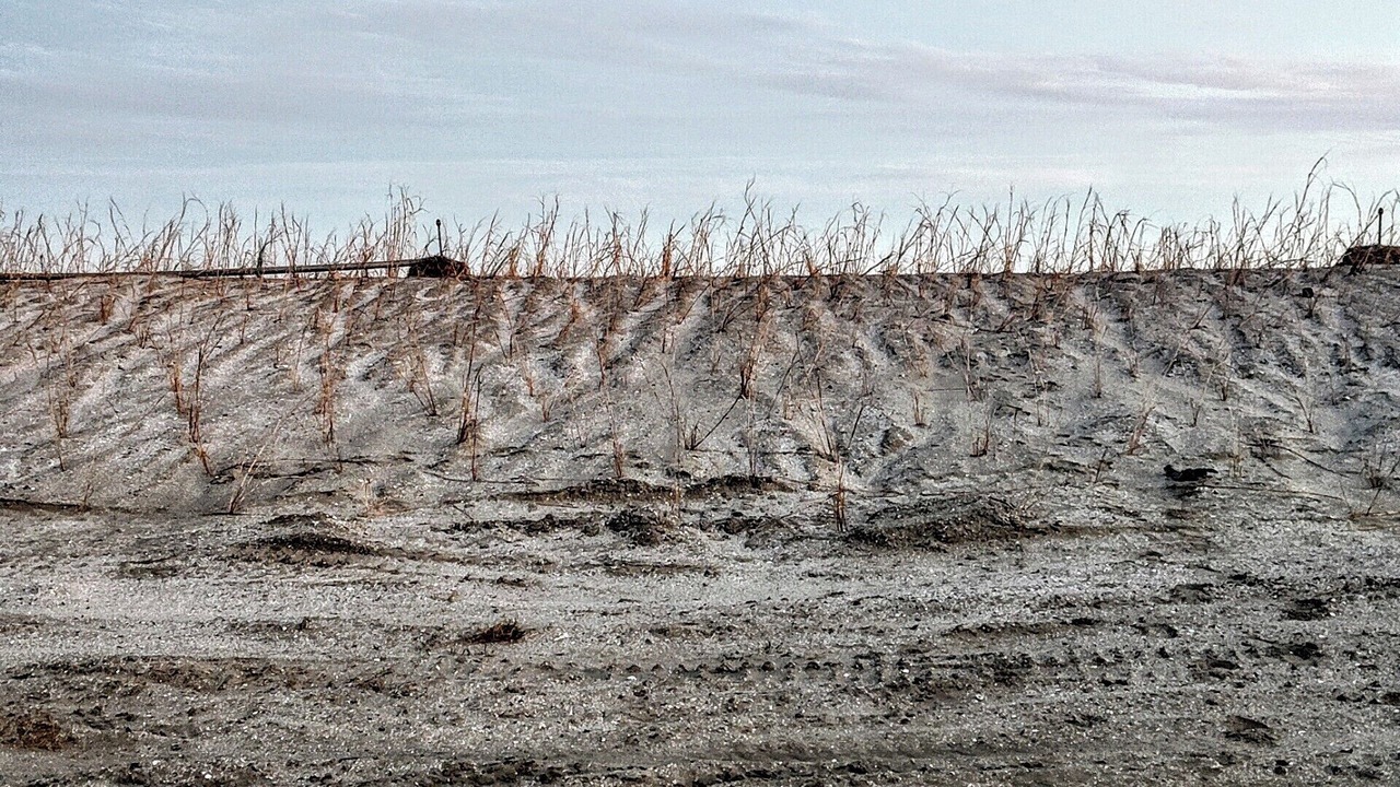 Photo of Others in Grand Isle