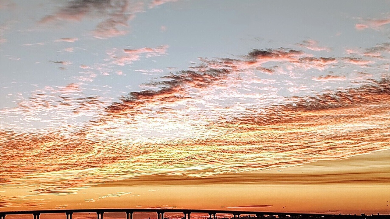 Photo of Others in Grand Isle