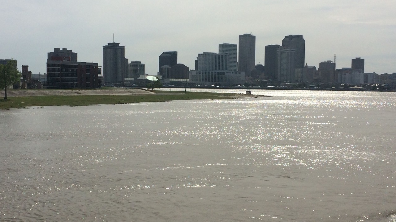 Photo of Others in New Orleans